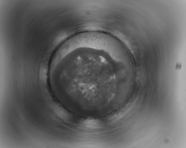 X0000103950063200809191450