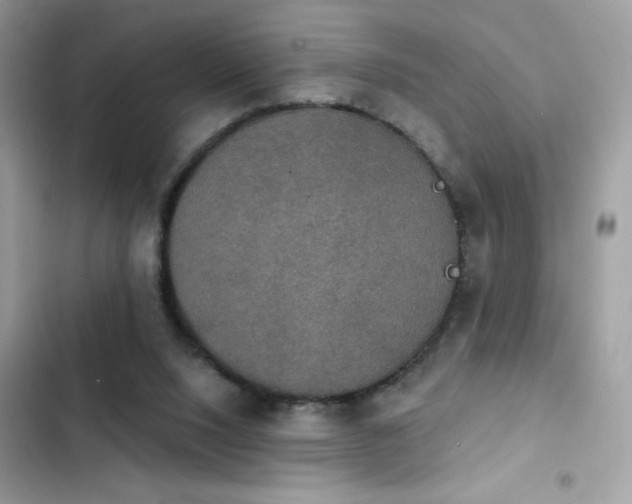 X0000103950064200809191450