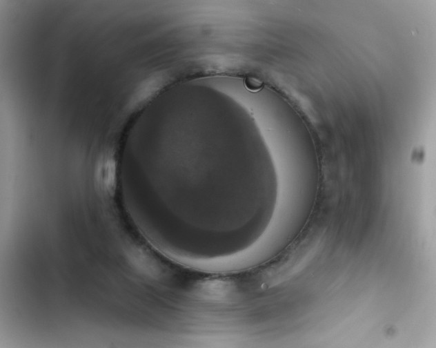 X0000103950067200809191450