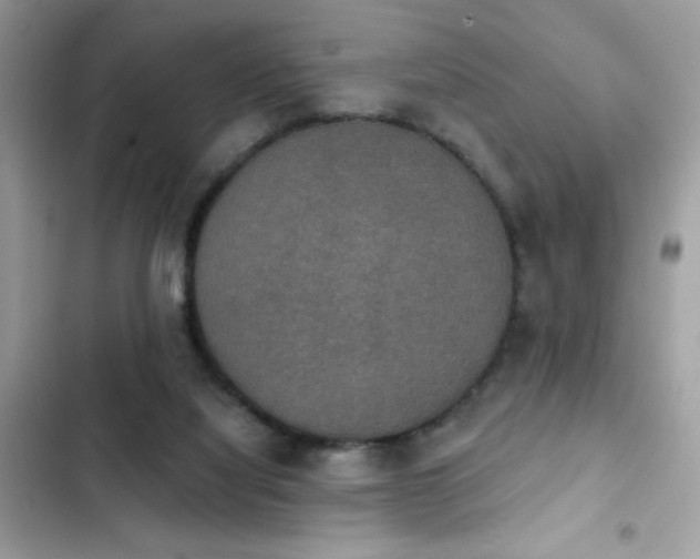 X0000103950068200809191450