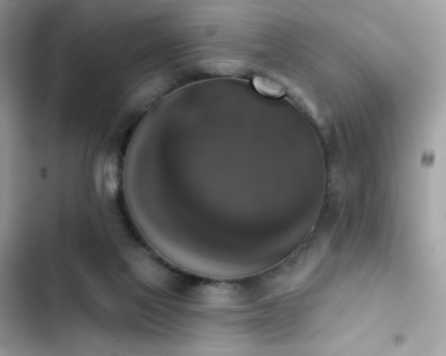 X0000103950069200809191450