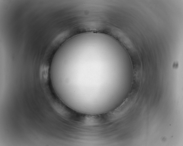 X0000103950070200809191450