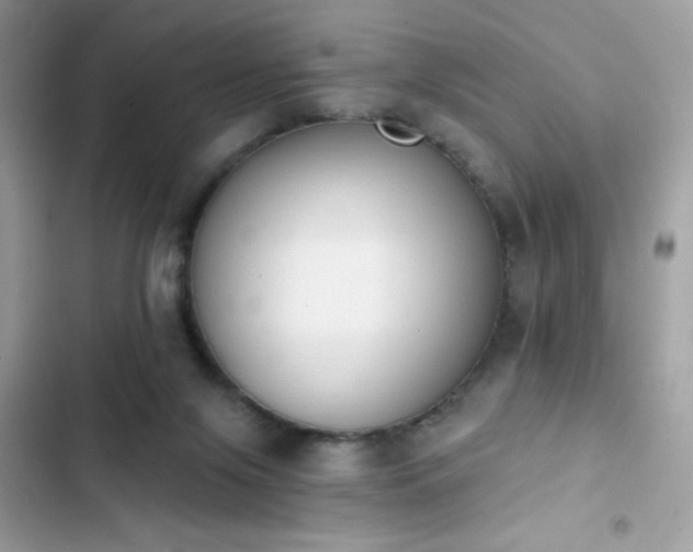 X0000103950071200809191450