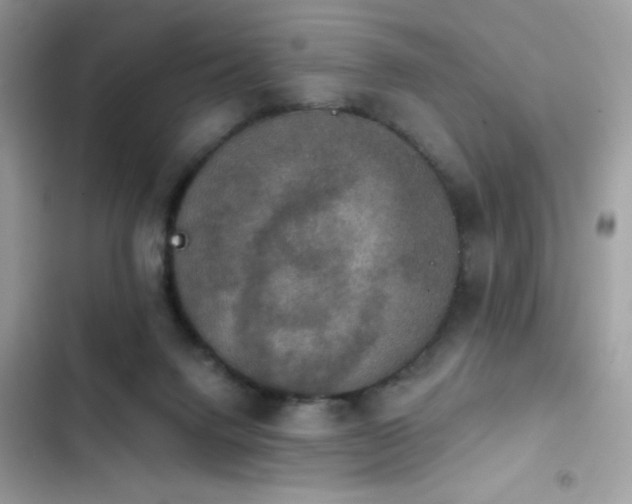X0000103950072200809191450
