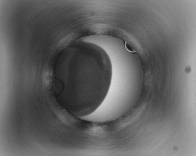 X0000103950073200809191450