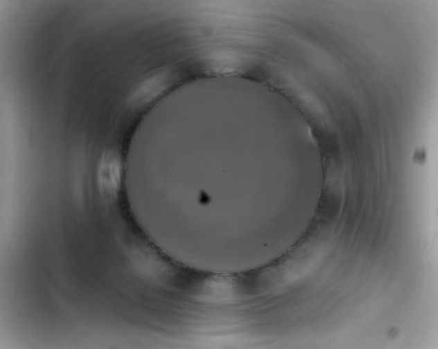 X0000103950076200809191450