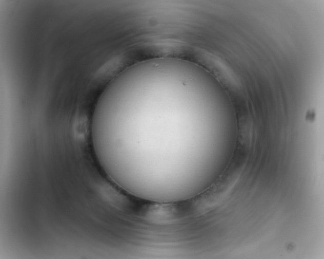 X0000103950077200809191450