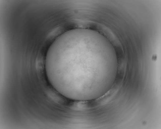 X0000103950078200809191450