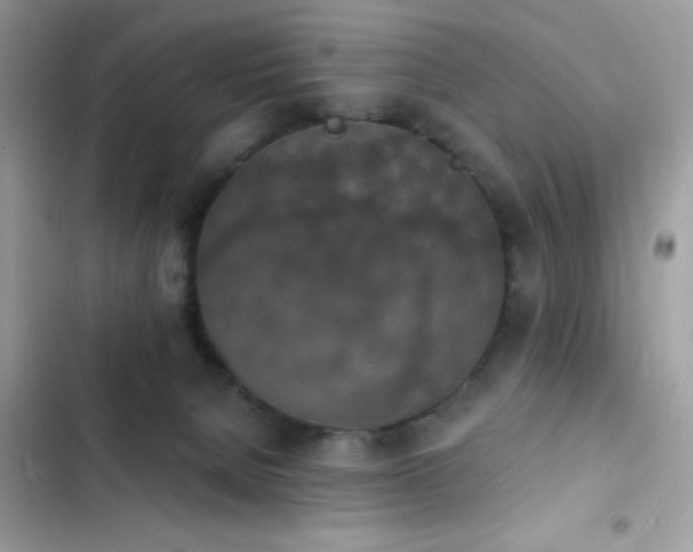 X0000103950080200809191451