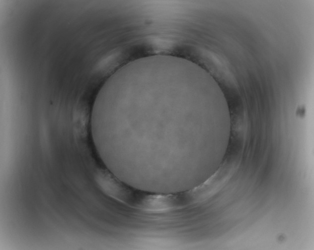 X0000103950082200809191451