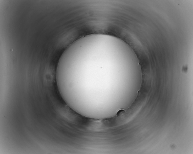 X0000103950083200809191451