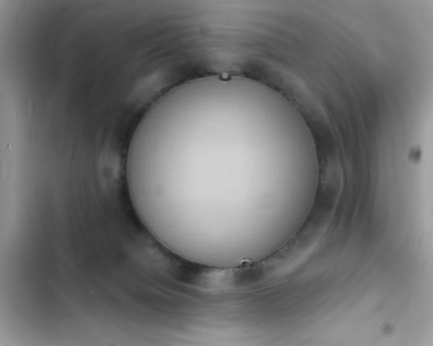 X0000103950084200809191451