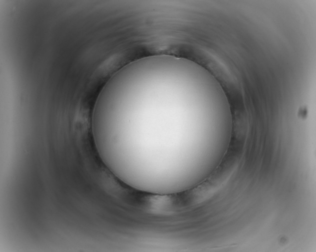 X0000103950085200809191451