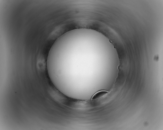 X0000103950086200809191451