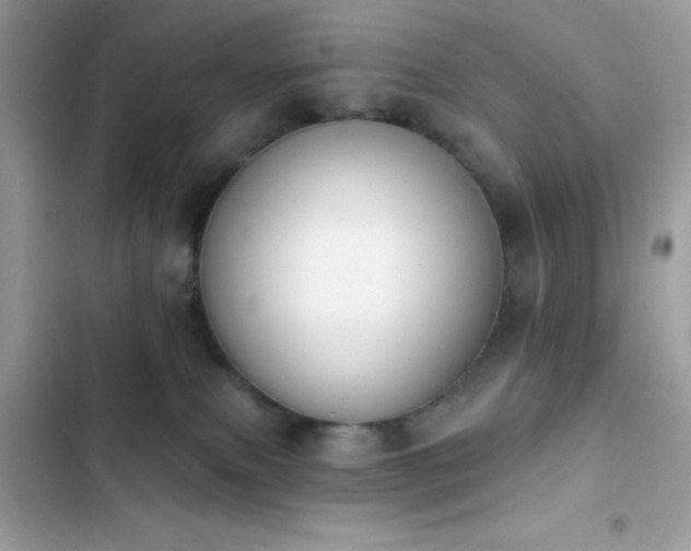 X0000103950087200809191451