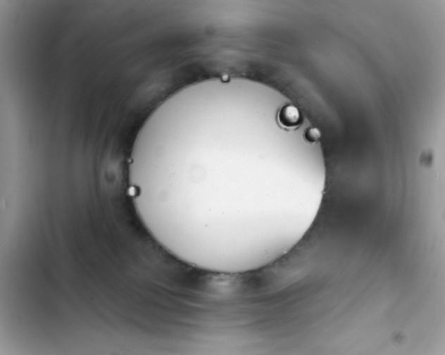 X0000103950088200809191451
