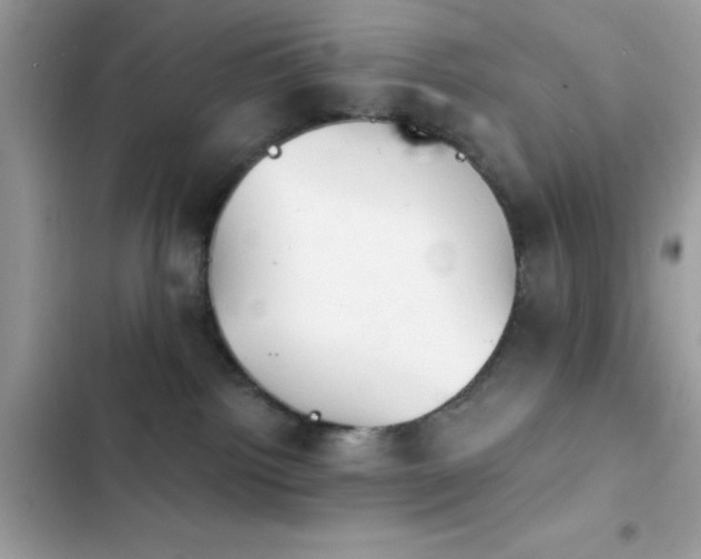 X0000103950092200809191451