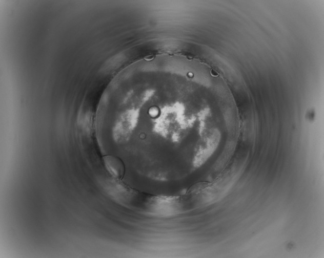 X0000103950093200809191451
