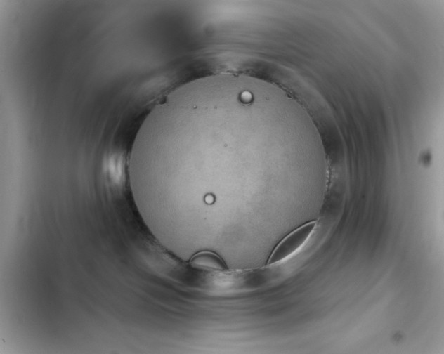 X0000103950094200809191451