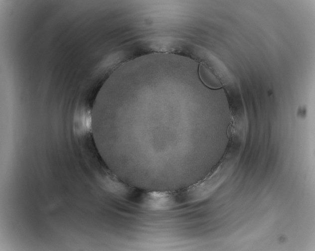 X0000103950095200809191451