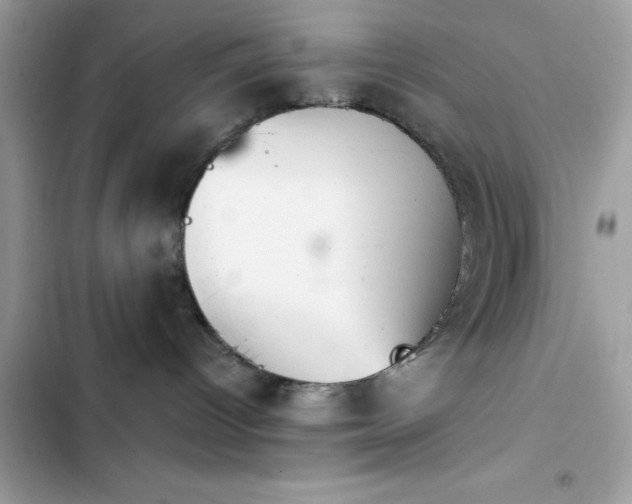 X0000103950096200809191451