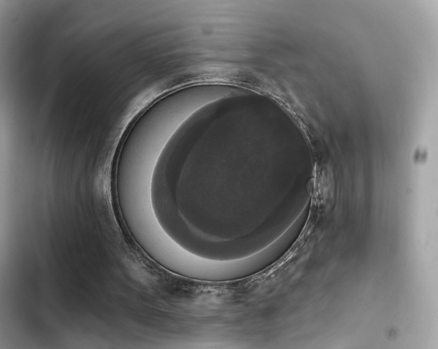 X0000103950099200809191450