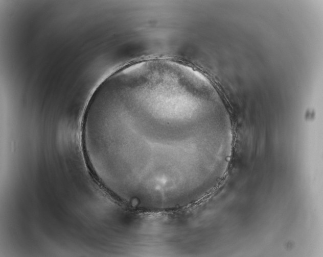 X0000103950100200809191450