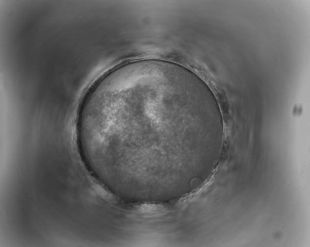 X0000103950101200809191450