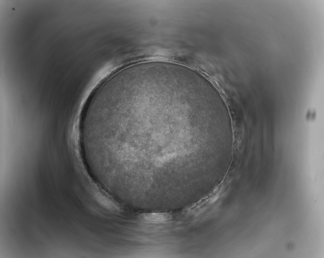 X0000103950102200809191450