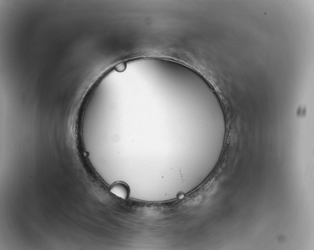 X0000103950103200809191450