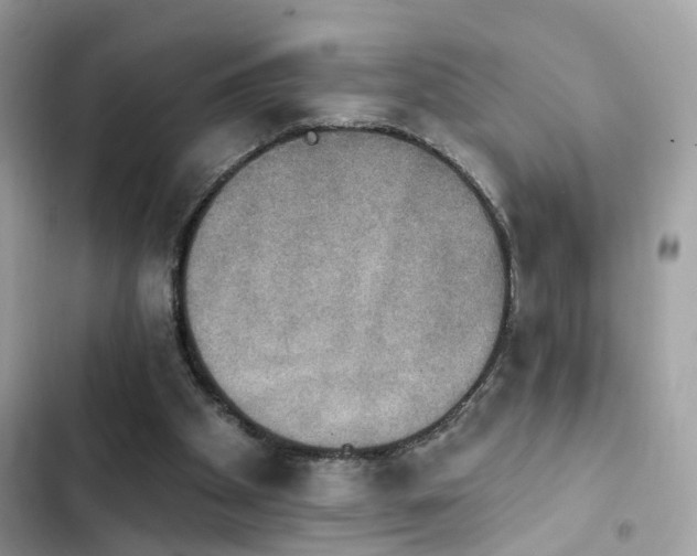 X0000103950105200809191450