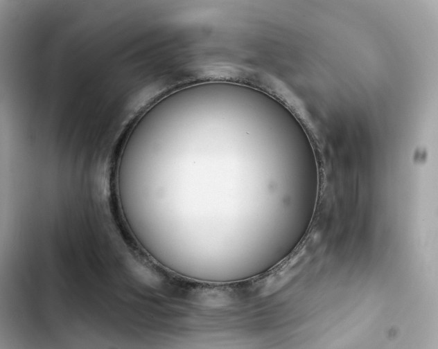 X0000103950106200809191450