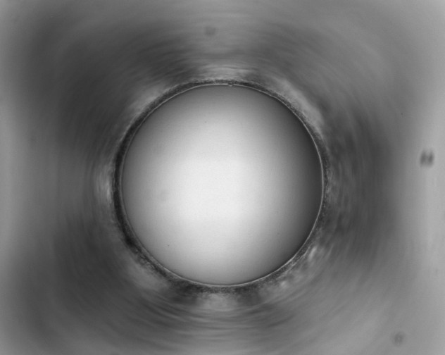 X0000103950107200809191450