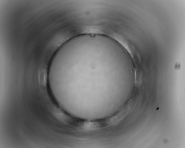 X0000103950109200809191450
