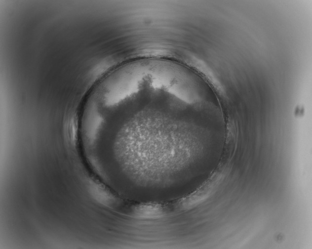 X0000103950110200809191450