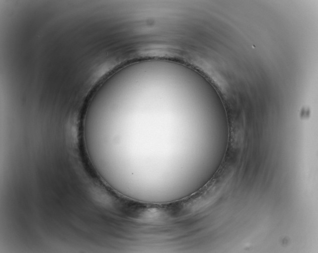 X0000103950111200809191450