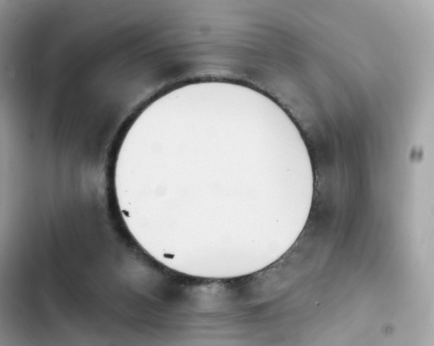 X0000103950112200809191450