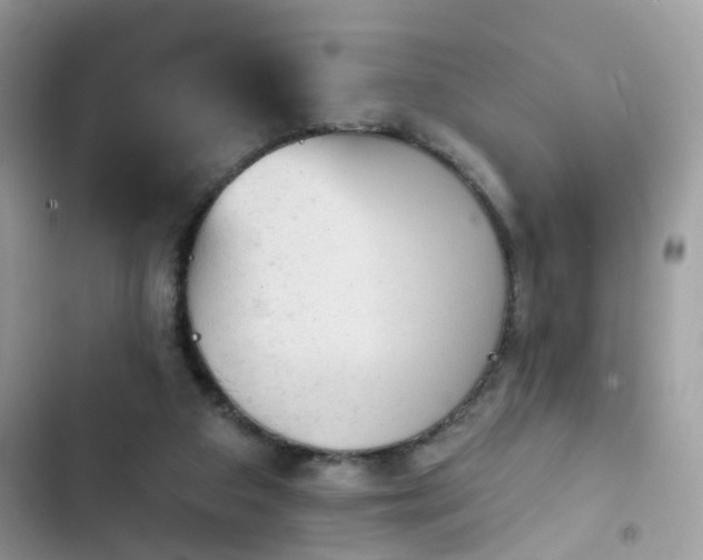 X0000103950113200809191450
