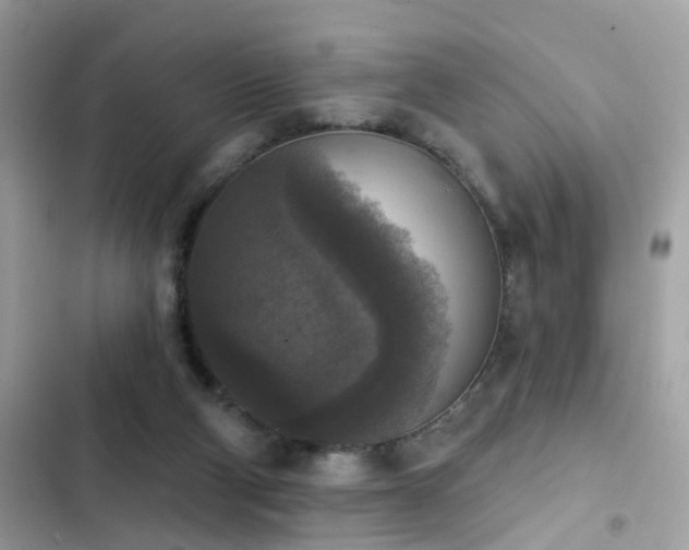 X0000103950114200809191450