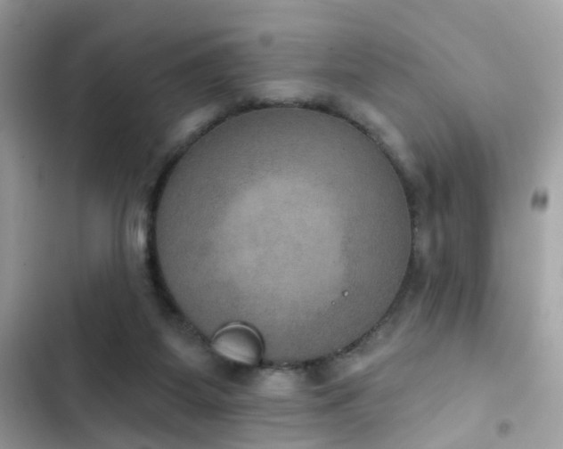 X0000103950115200809191450