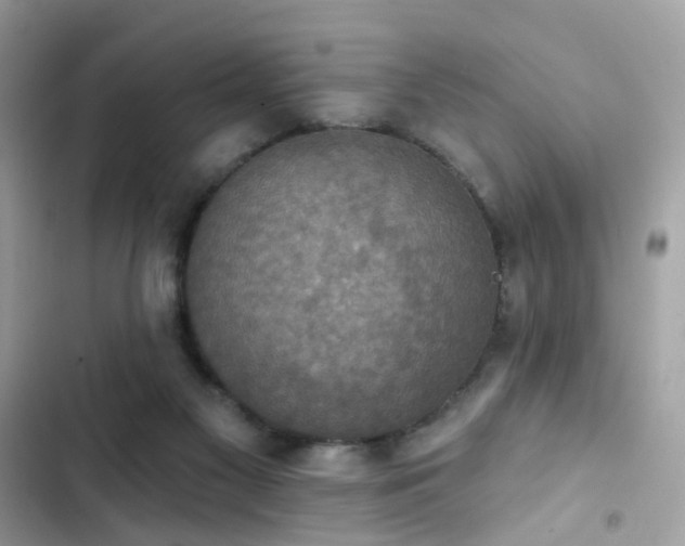 X0000103950117200809191450