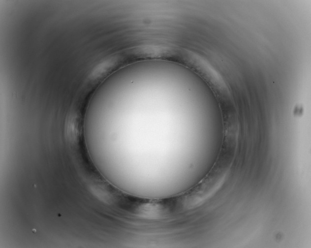 X0000103950119200809191450