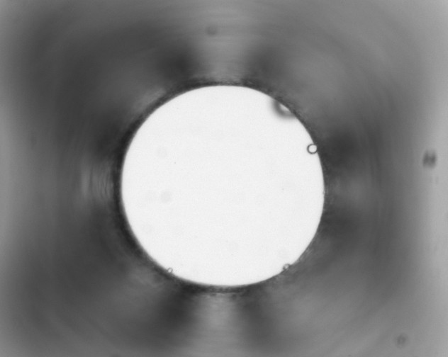 X0000103950120200809191450