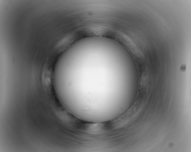 X0000103950122200809191450