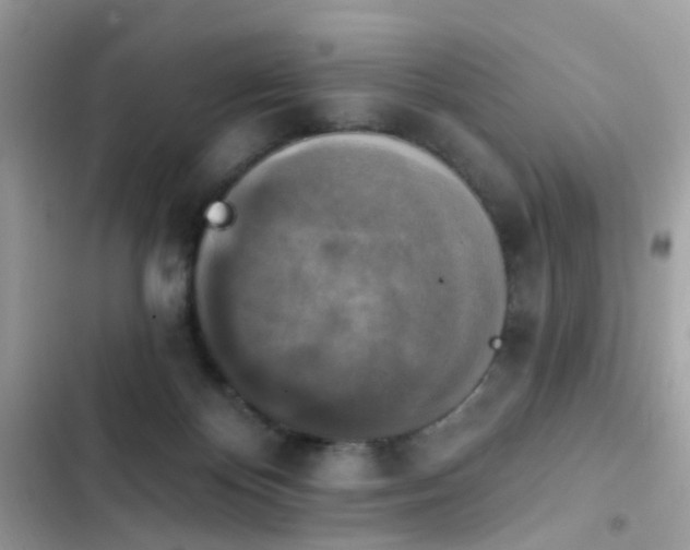 X0000103950124200809191450