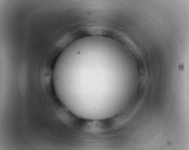 X0000103950125200809191450
