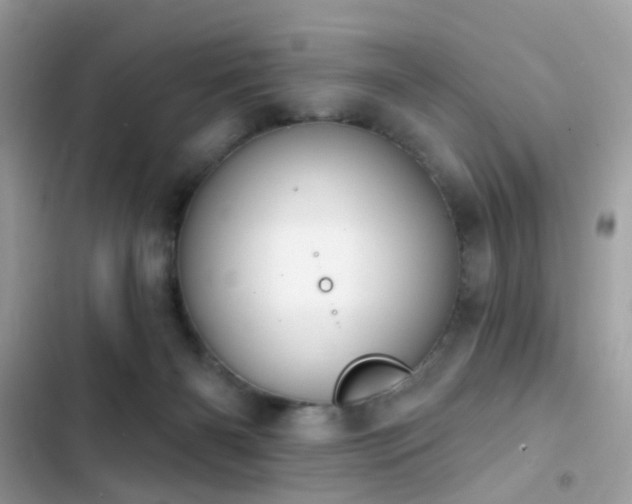 X0000103950126200809191450