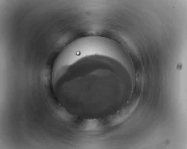 X0000103950127200809191450