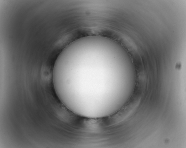 X0000103950129200809191450