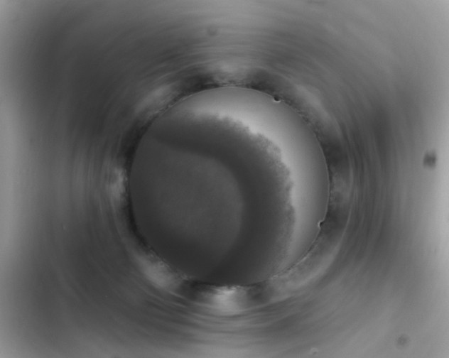 X0000103950130200809191450